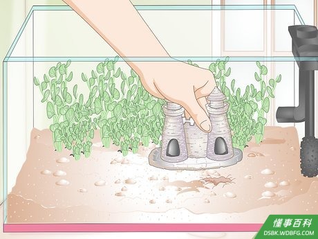Step 1 准备斗鱼的小屋。