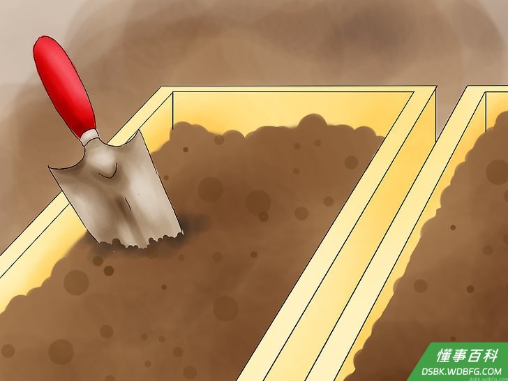 Step 2 种植。