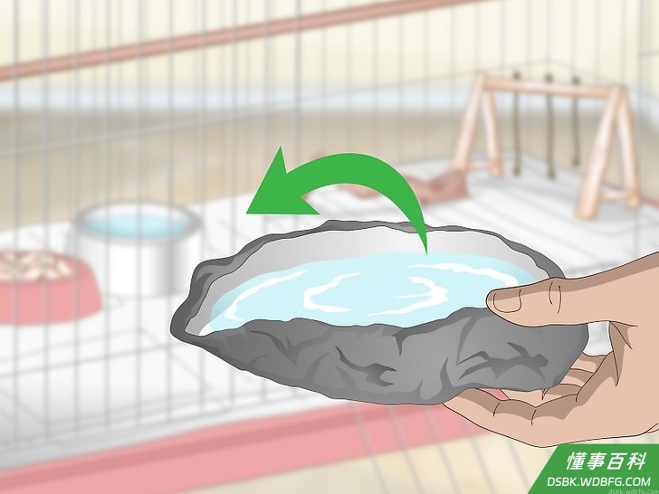 Step 4 在鸟笼里放一个浴盆。