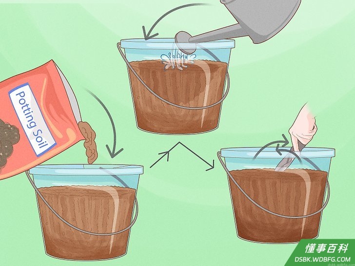 Step 1 专门拿一个桶准备盆栽土。