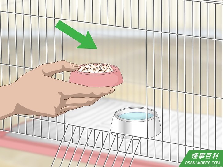 Step 1 给鸟儿提供充足的食物和水。