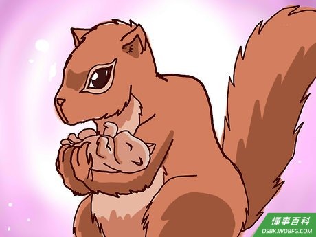 Step 1 首先第一步是要把松鼠宝宝带回它母亲身边。