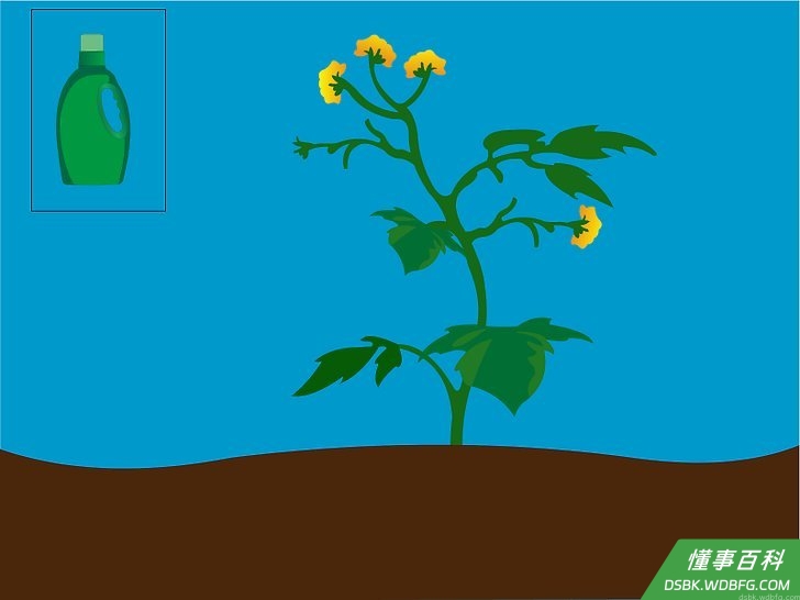 Step 1 经常给植物浇水施肥。
