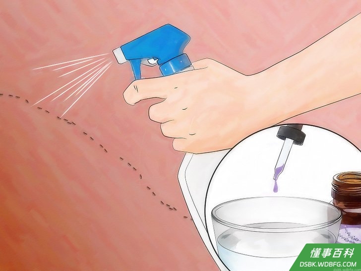 Step 3 用精油防止蚂蚁靠近。