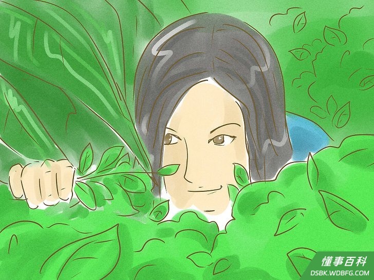 步骤7
