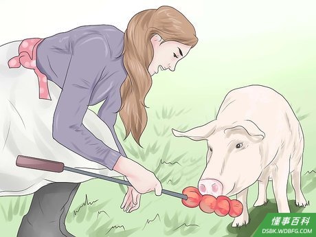Step 5 给猪剩菜。