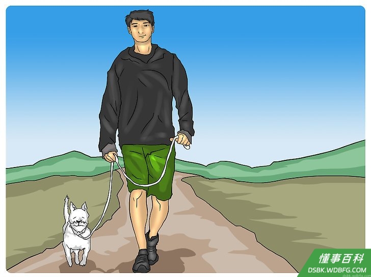 Step 8 出去走走。