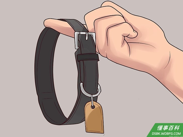 Step 2 清洗或者换掉狗的卧具，项圈等物品。