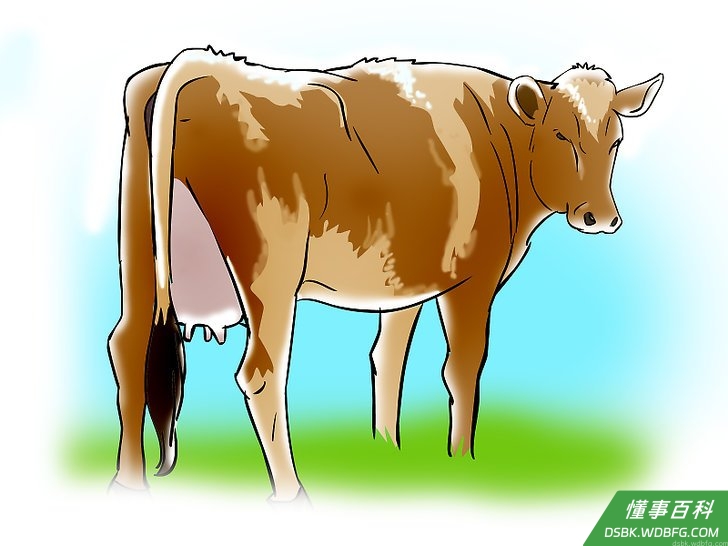 Step 2 发情期12小时之后是母牛进行人工授精的最佳时期。