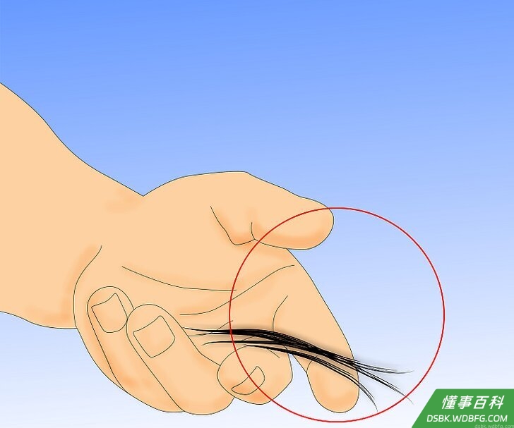 Step 1 有头发脱落。