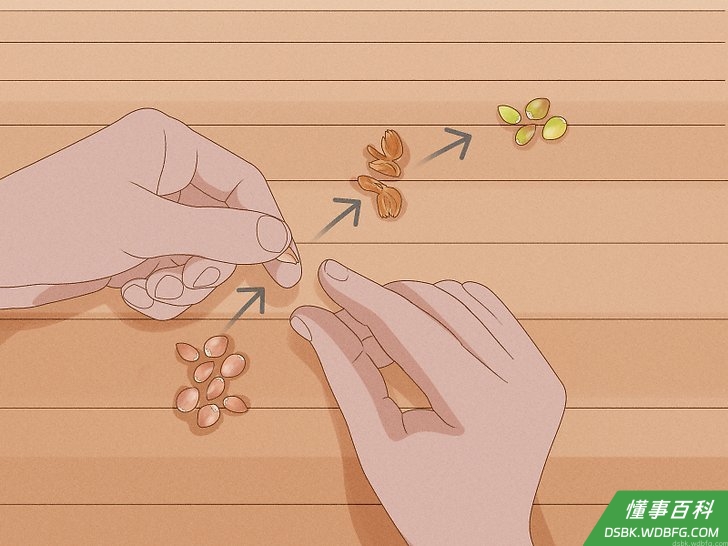 Step 6 去掉棕色的薄膜。