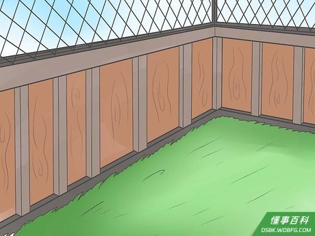 Step 3 想办法挡住狗的视线。