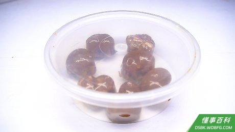 Step 9 糖浆冷却后就可以从模具中取出开始享用啦！把糖果装在密封袋里，可以保存一个月。