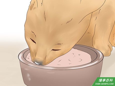 Step 1 用含水量高的罐头食物饲养猫。