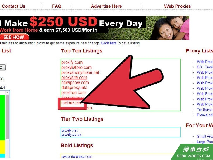 Step 2 选择代理网站。
