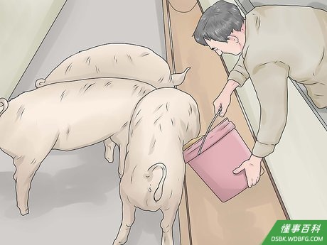 Step 4 为猪挑选好饲料。