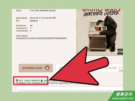 Step 3 下载种子文件。