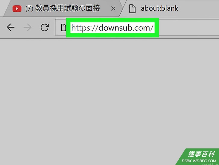 Step 2 搜索合适的下载网站。