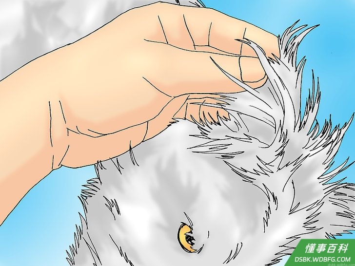 Step 1 抓住狗狗的一只耳朵。