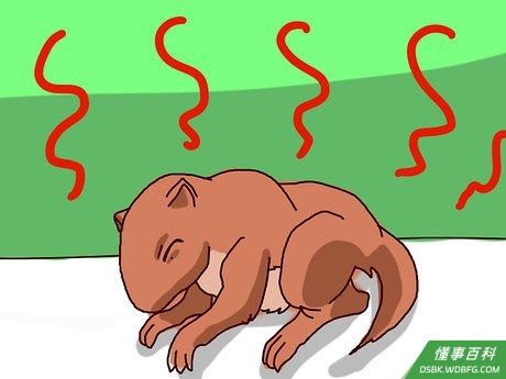 Step 4 给它保暖。