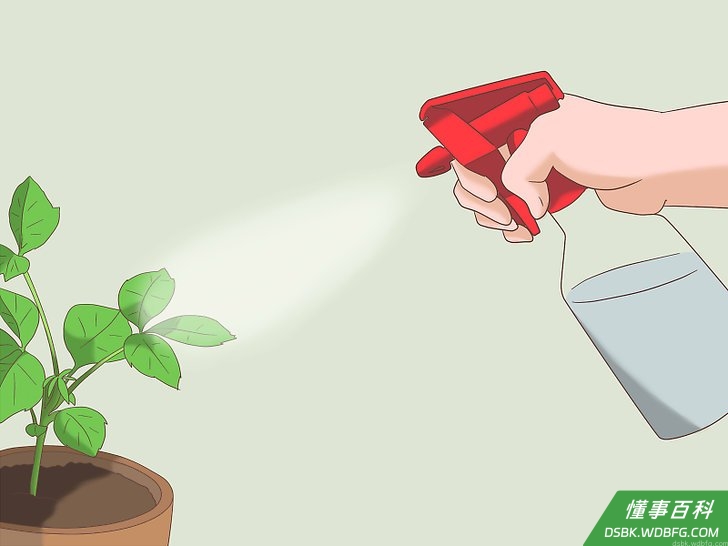 Step 5 对草坪要求不用那么严格。