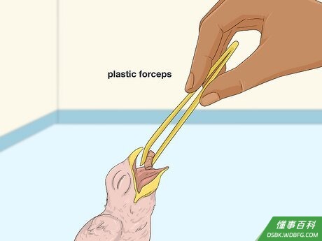 Step 6 使用正确的喂养技巧。