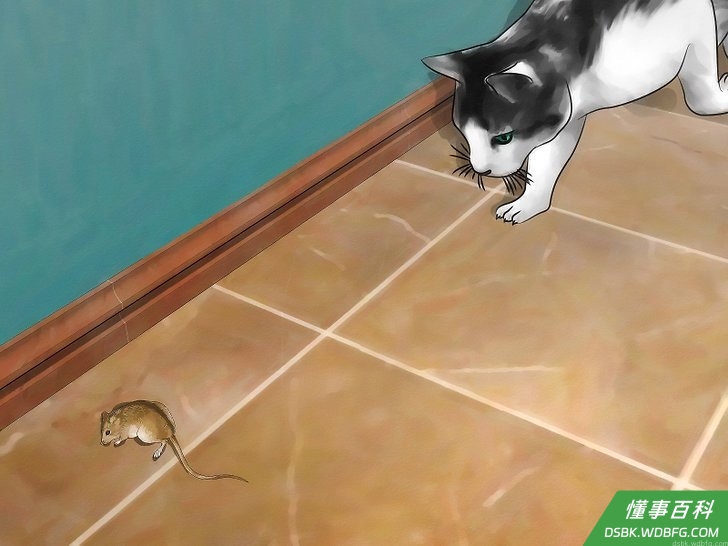 Step 6 养只猫，家猫可以解决这个问题，特别是有专门的室外猫/室内猫。
