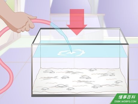 Step 2 把鱼缸装满水。