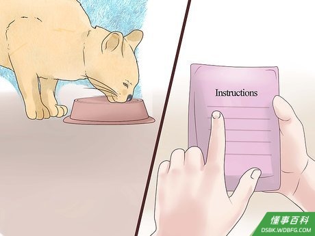 Step 1 用固定的方式饲养猫咪。