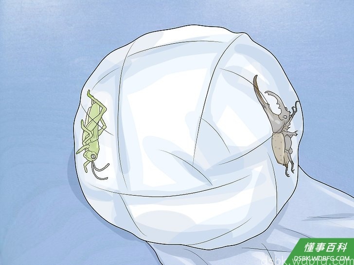 Step 5 继续将价格便宜的礼物包裹到球体中。