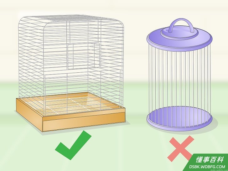 Step 4 挑选长方形的鸟笼。